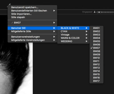 Capture One Style Pack – Bild 11